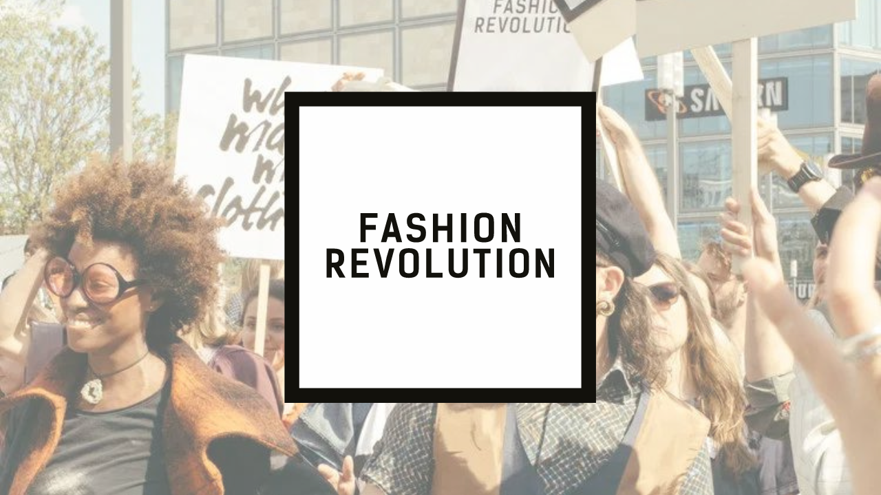 Fashion Revolution Case Study